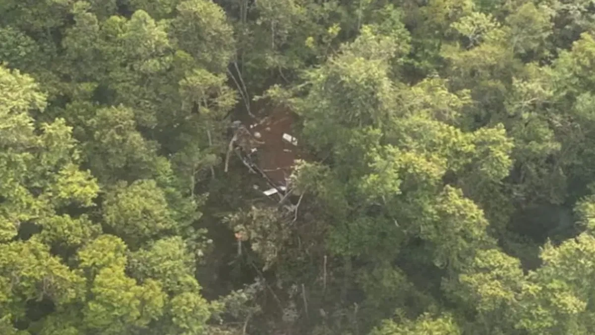 ইন্দোনেশিয়ায় জঙ্গলে বিধ্বস্ত হেলিকপ্টার। ছবি: এনডিটিভি