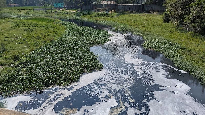 রংপুরে পানিদূষণসহ ময়লার ভাগাড়ে পরিণত হয়েছে ঐতিহ্যবাহী কেডিখাল। ছবি: নিজস্ব