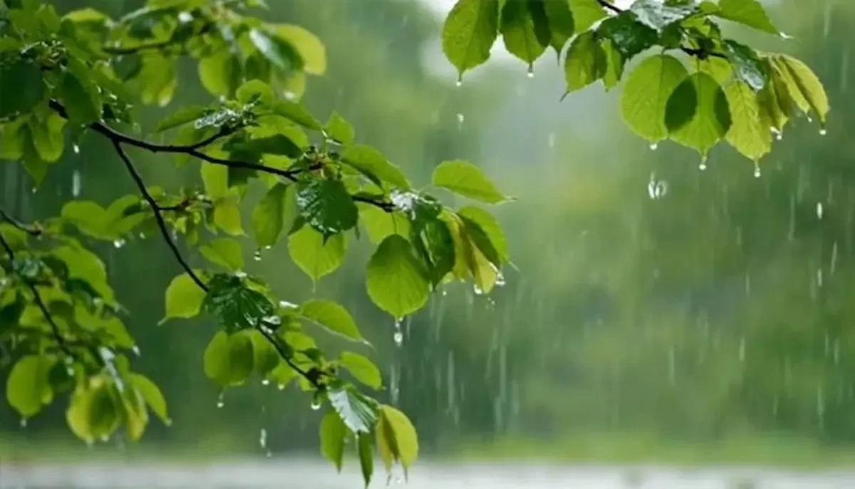 মুষলধারে বৃষ্টিপাতের দৃশ্য। ছবি: সংগৃহীত