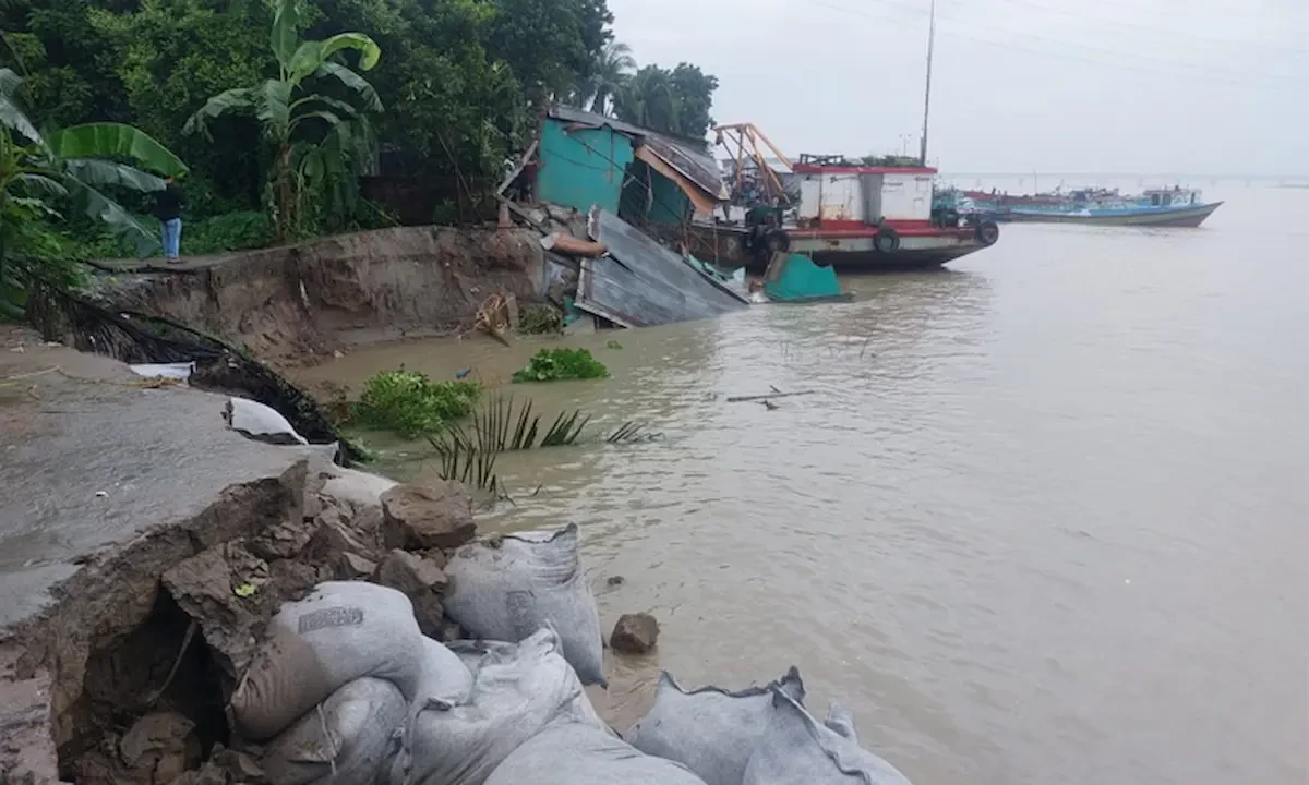পদ্মা নদীর পাড় ভাঙনের দৃশ্য ও ক্ষতিগ্রস্ত ঘরবাড়ি।ছবি: সংগৃহীত